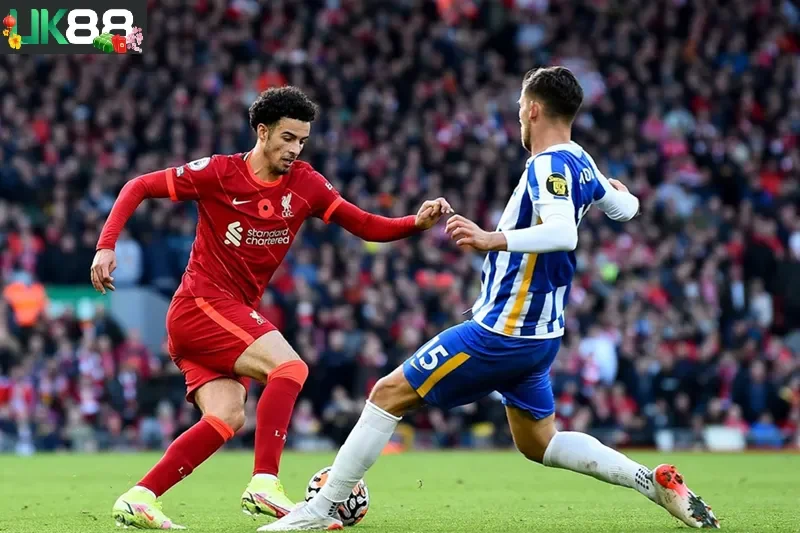 keo-nha-cai-brighton-vs-liverpool-uk88
