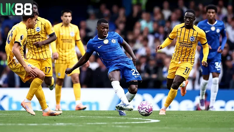 keo-nha-cai-chelsea-vs-brighton-uk88